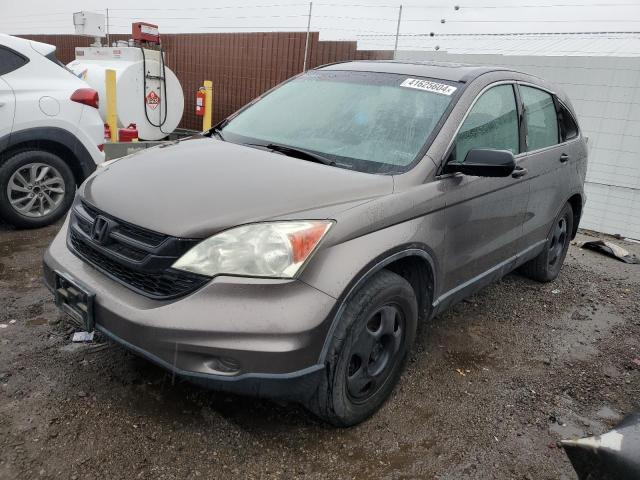 HONDA CRV 2010 5j6re4h36al063256