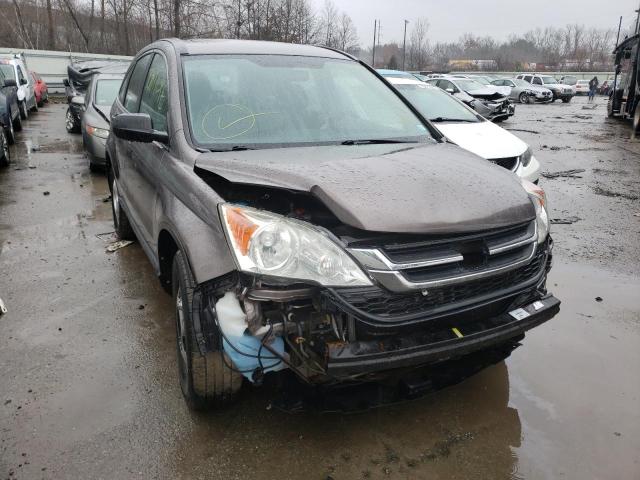 HONDA CR-V LX 2010 5j6re4h36al077089