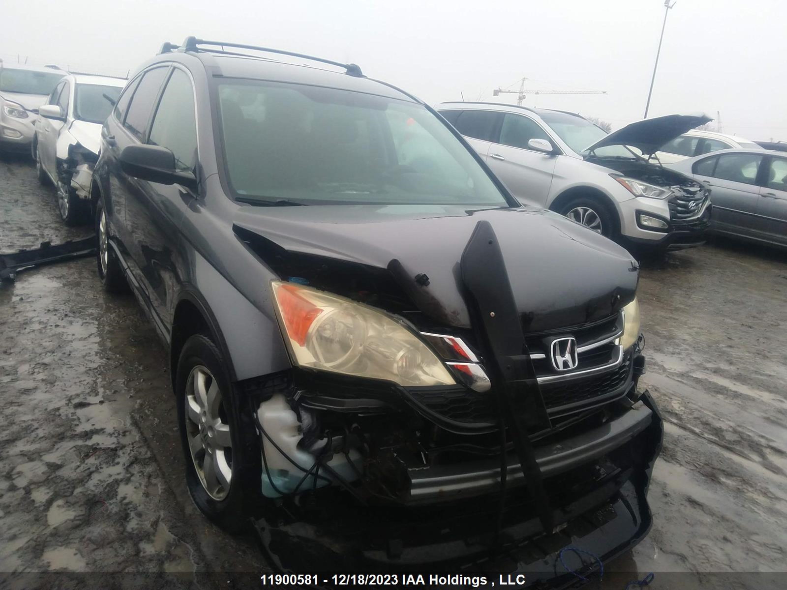 HONDA CR-V 2010 5j6re4h36al807616