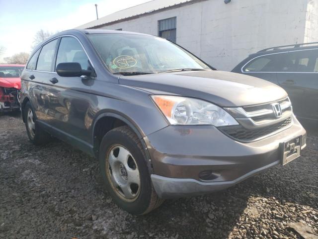 HONDA CR-V LX 2011 5j6re4h36bl114580