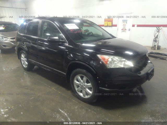 HONDA CR-V 2010 5j6re4h37al054484