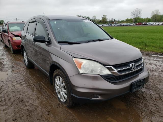 HONDA CR-V LX 2010 5j6re4h37al095424