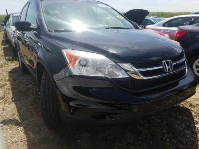 HONDA CR-V LX 2010 5j6re4h37al805910