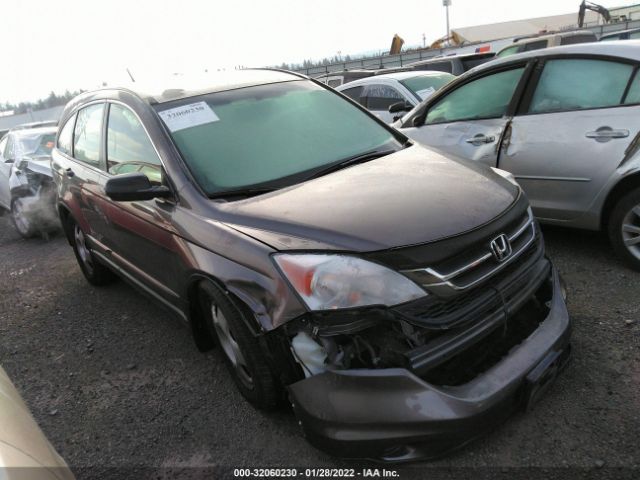 HONDA CR-V 2011 5j6re4h37bl039534