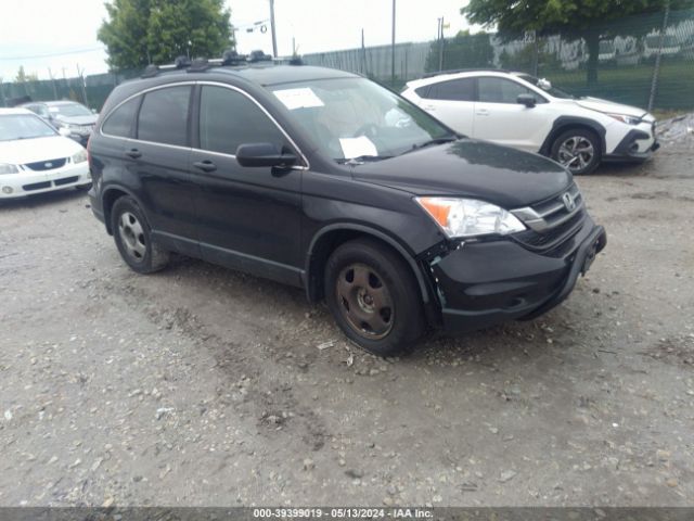 HONDA CR-V 2011 5j6re4h37bl053899