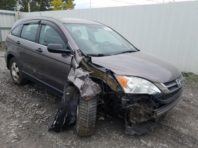 HONDA CR-V LX 2011 5j6re4h37bl067463