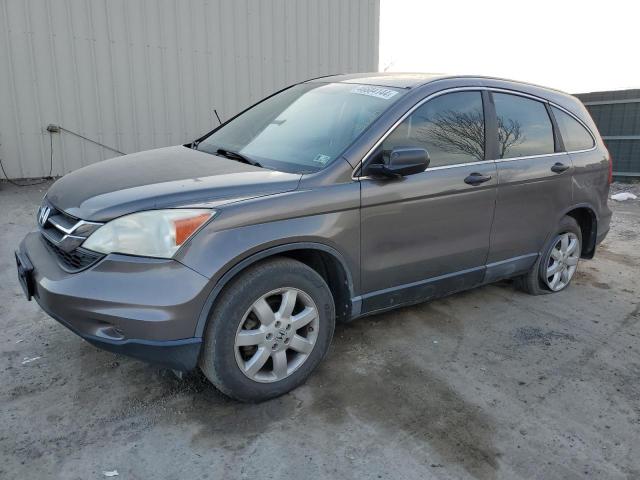 HONDA CRV 2010 5j6re4h38al022093