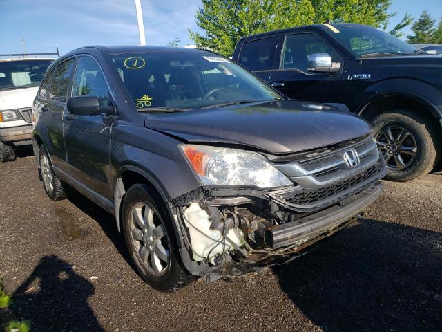 HONDA CR-V LX 2010 5j6re4h38al808654