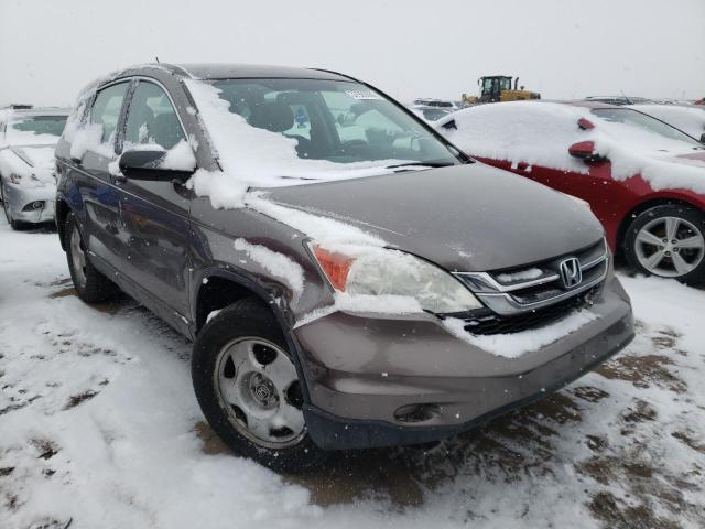 HONDA CR-V LX 2011 5j6re4h38bl049540