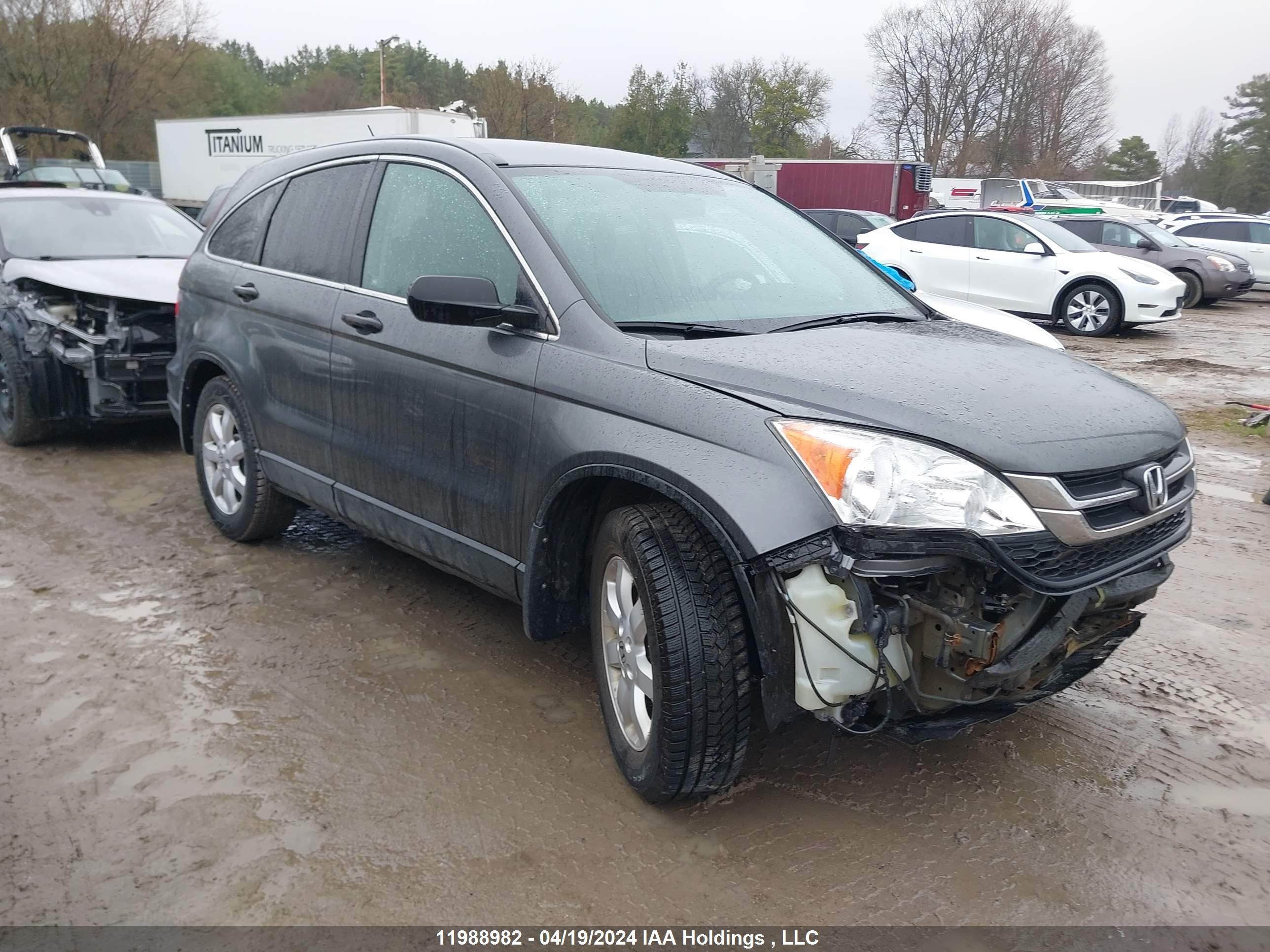 HONDA CR-V 2011 5j6re4h38bl823818