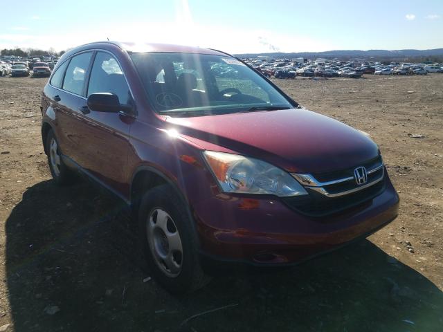 HONDA CR-V LX 2011 5j6re4h39bl052432