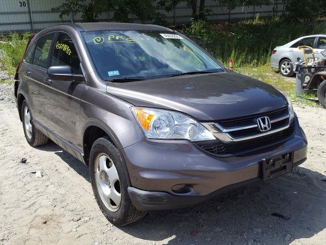 HONDA CR-V LX 2011 5j6re4h39bl058408