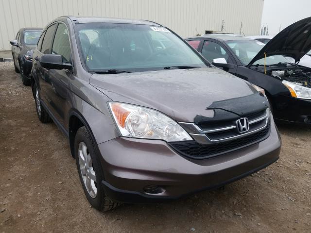 HONDA CR-V LX 2011 5j6re4h39bl814450