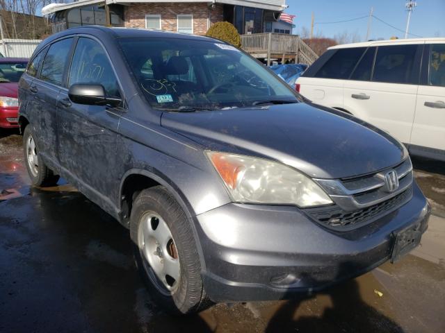 HONDA CR-V LX 2010 5j6re4h3xal050140