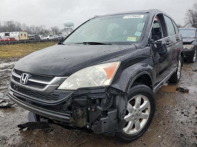 HONDA CR-V LX 2010 5j6re4h3xal075796