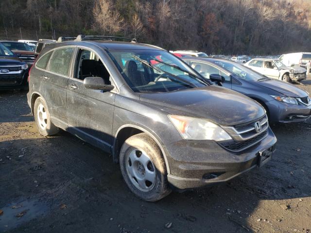 HONDA CR-V LX 2010 5j6re4h3xal098060