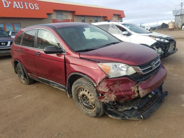 HONDA CR-V LX 2010 5j6re4h3xal803701