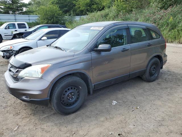 HONDA CR-V LX 2011 5j6re4h3xbl043920