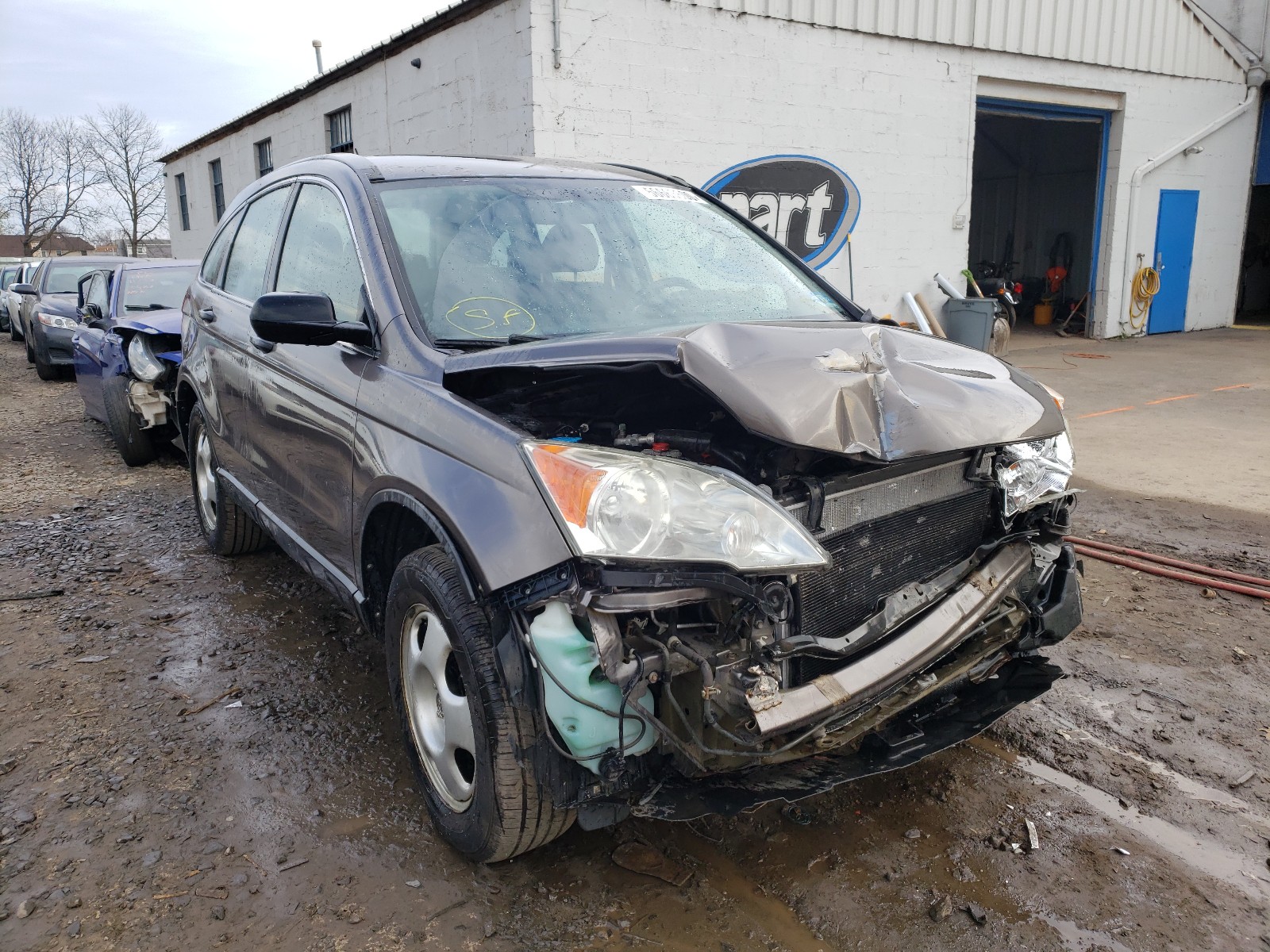 HONDA CR-V LX 2011 5j6re4h3xbl058496