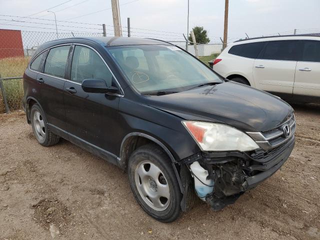 HONDA CR-V LX 2011 5j6re4h3xbl076061