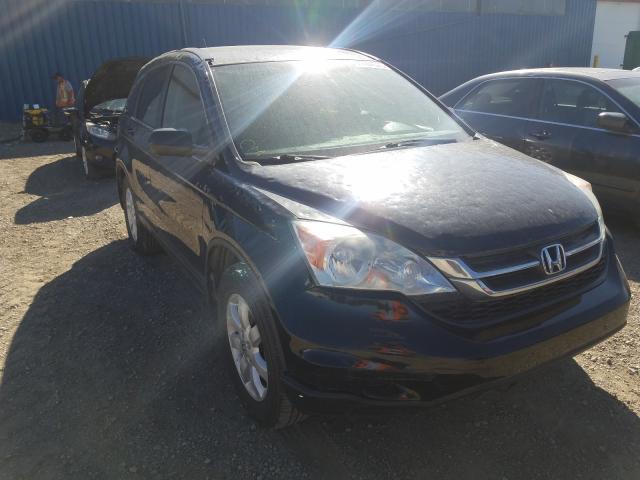 HONDA CR-V LX 2011 5j6re4h3xbl808852