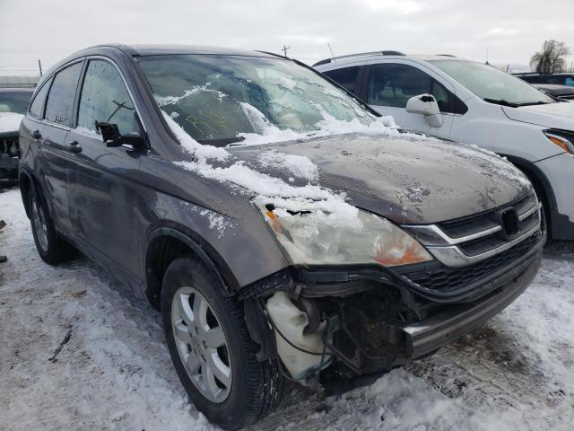 HONDA CR-V SE 2011 5j6re4h41bl002729