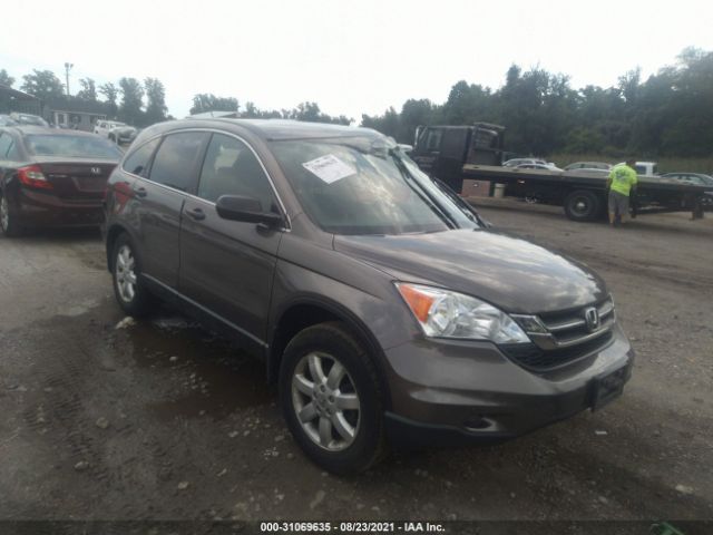 HONDA CR-V 2011 5j6re4h41bl070982