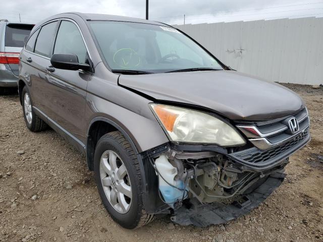 HONDA CR-V SE 2011 5j6re4h41bl090701