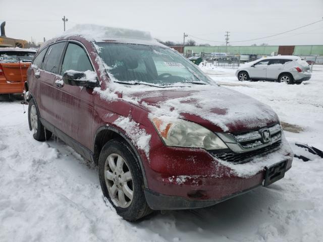 HONDA CR-V SE 2011 5j6re4h41bl096160