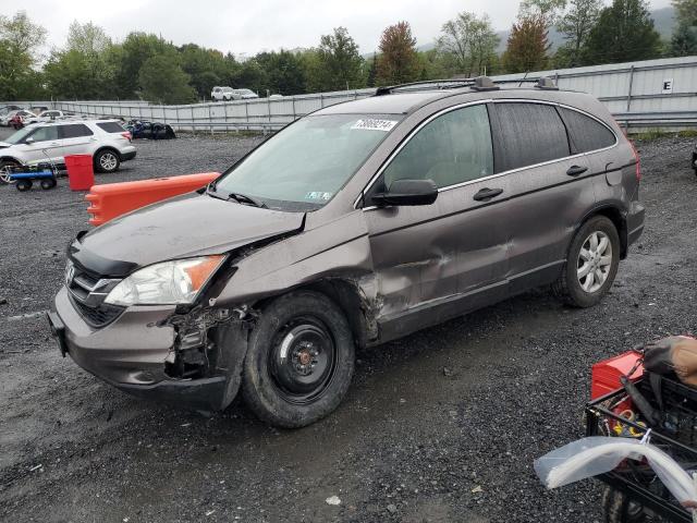 HONDA CR-V SE 2011 5j6re4h42bl078637