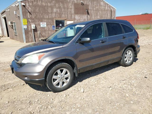 HONDA CR-V SE 2011 5j6re4h42bl091663