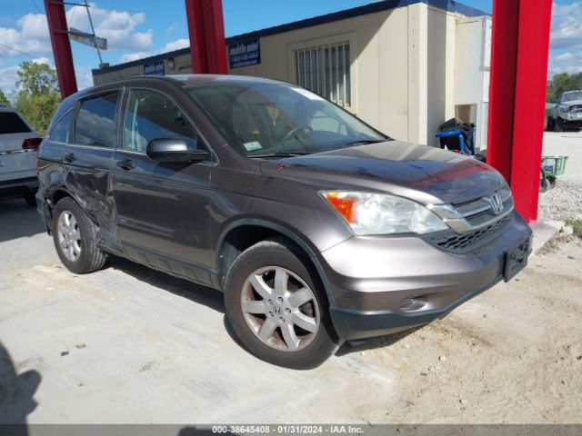 HONDA CR-V 2011 5j6re4h42bl115931