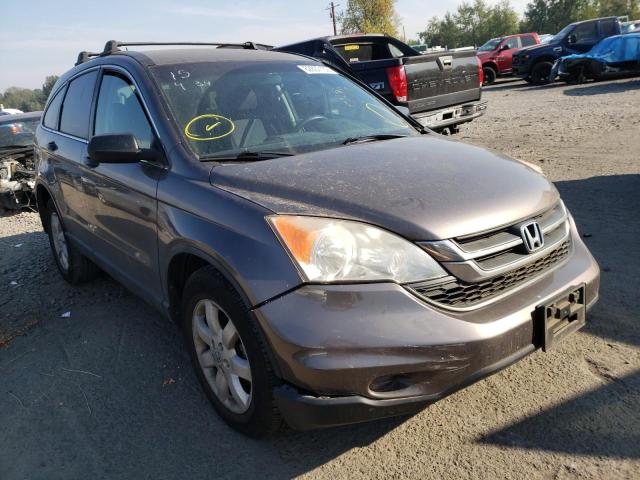 HONDA CR-V SE 2011 5j6re4h43bl022108