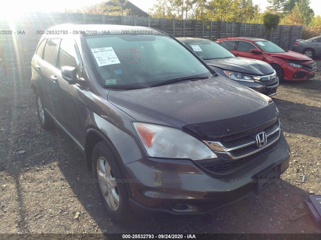 HONDA CR-V 2011 5j6re4h43bl026269