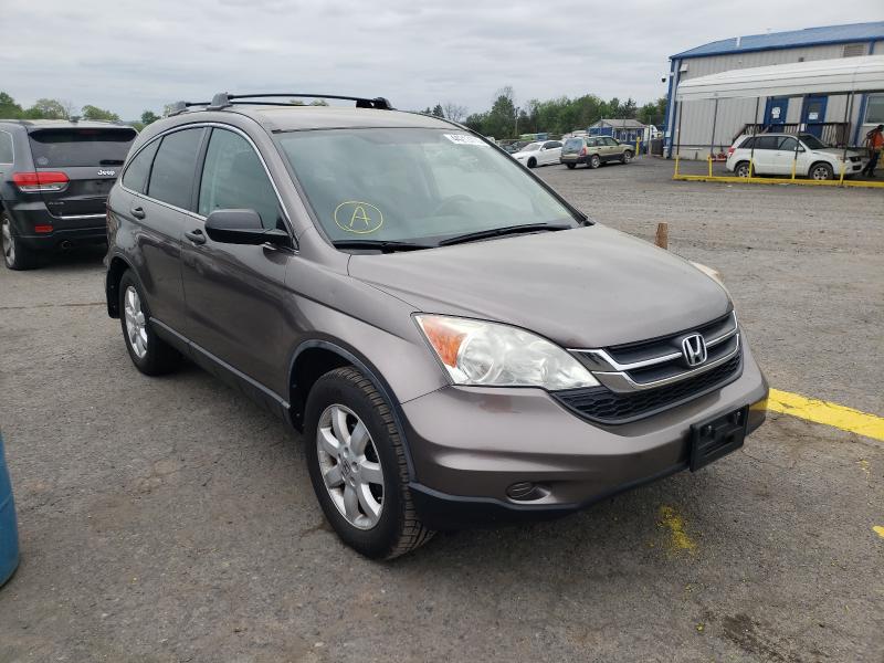 HONDA CR-V SE 2011 5j6re4h43bl070045