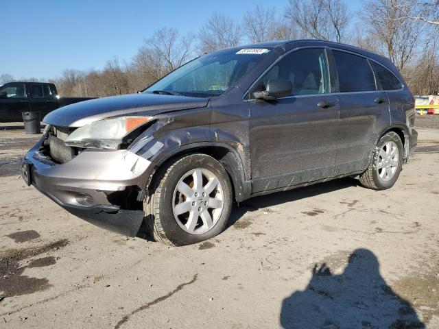 HONDA CR-V SE 2011 5j6re4h43bl104386