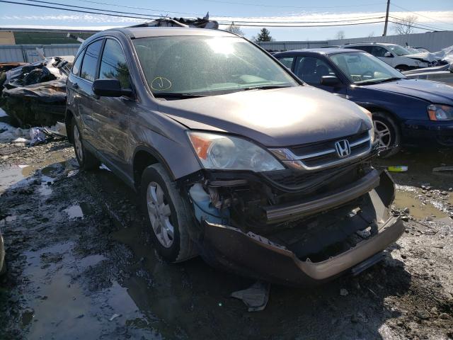 HONDA CR-V SE 2011 5j6re4h44bl080163