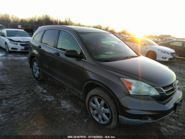 HONDA CR-V 2011 5j6re4h44bl083905