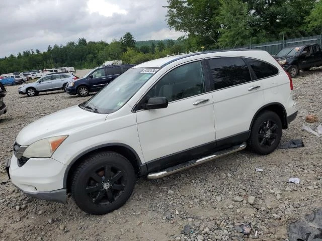 HONDA CR-V SE 2011 5j6re4h47bl009099