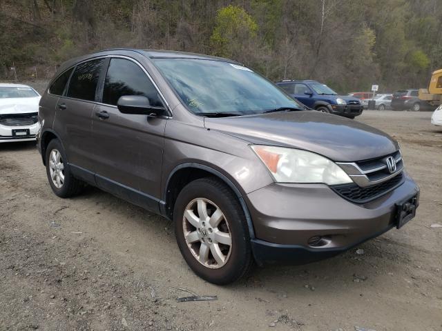 HONDA CR-V SE 2011 5j6re4h48bl011640