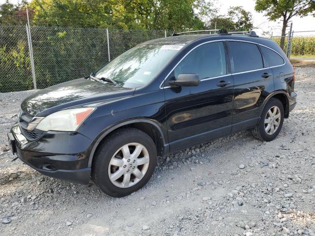 HONDA CR-V SE 2011 5j6re4h49bl011646