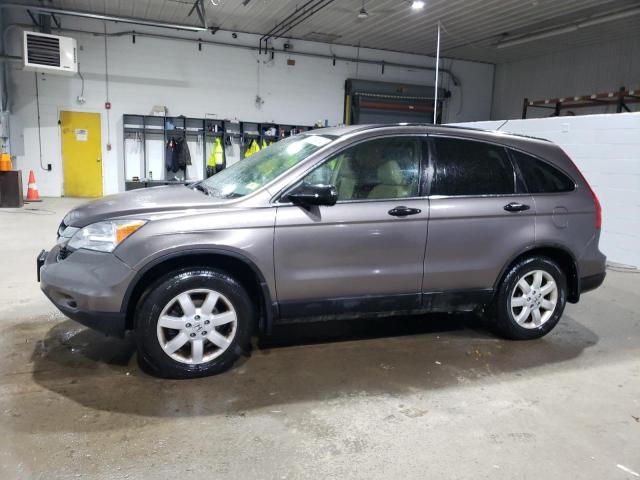 HONDA CR-V SE 2011 5j6re4h49bl022887