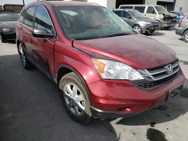 HONDA CR-V SE 2011 5j6re4h4xbl031226