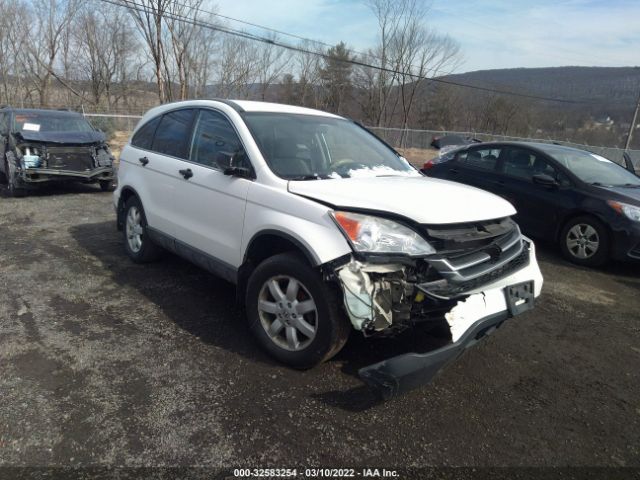 HONDA CR-V 2011 5j6re4h4xbl107494