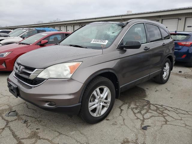 HONDA CR-V EX 2011 5j6re4h50bl100711