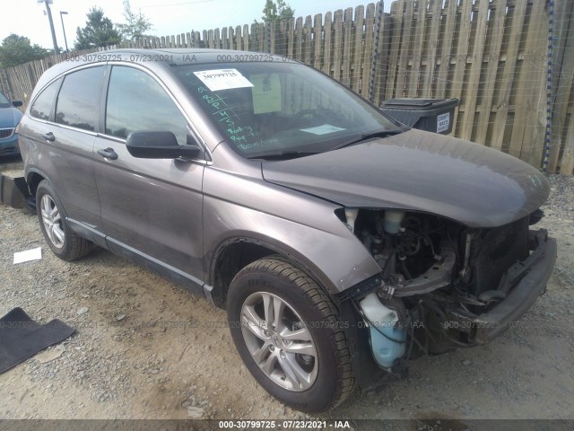 HONDA CR-V 2010 5j6re4h51al074389