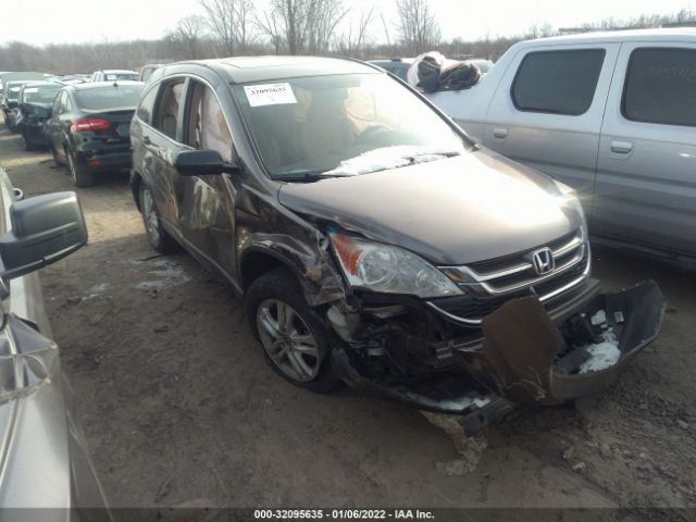 HONDA CR-V 2011 5j6re4h51bl065113