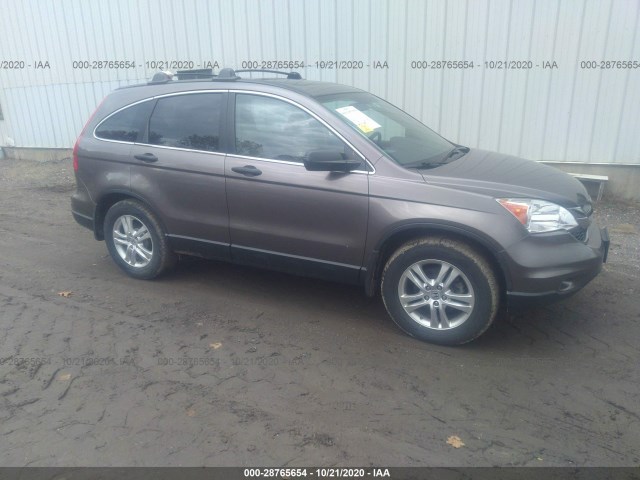 HONDA CR-V 2010 5j6re4h52al079262