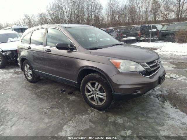 HONDA CR-V 2011 5j6re4h53bl094418