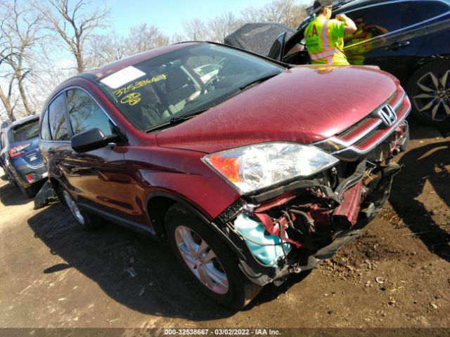 HONDA CR-V 2010 5j6re4h54al012517